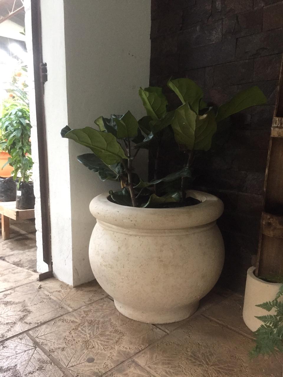 Macetón Olla (Cub - Olla)